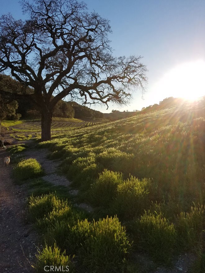 115 Booker Road Templeton, CA 93465 - Photo 65 of 76 a view of lake with mountain