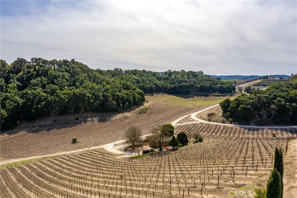 115 Booker Road Templeton, CA 93465 - Photo 69 of 76