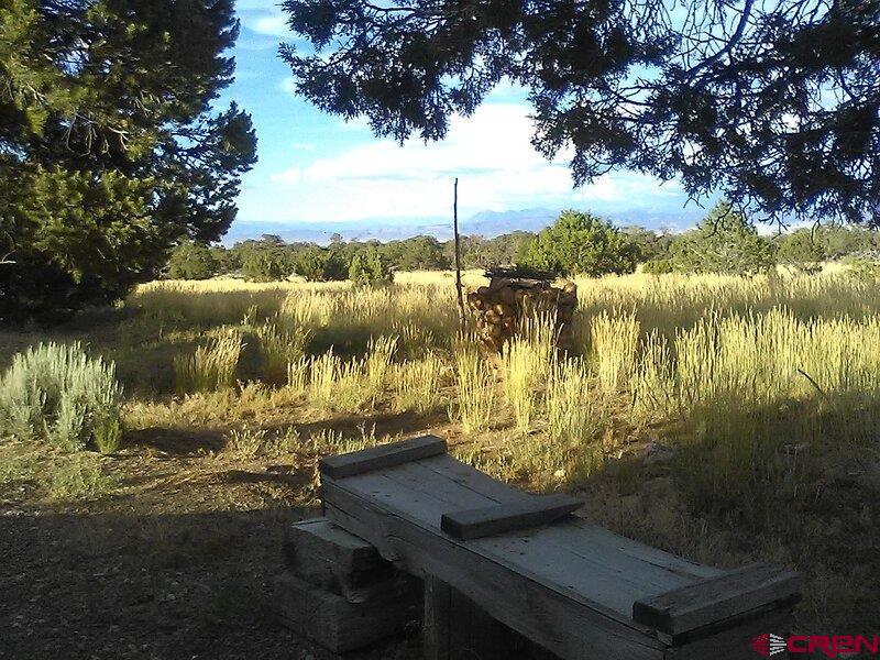 15018 Transfer Road Olathe, CO 81425 - Photo 27 of 35 Gallery Image 27