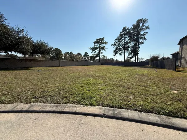 a view of a yard