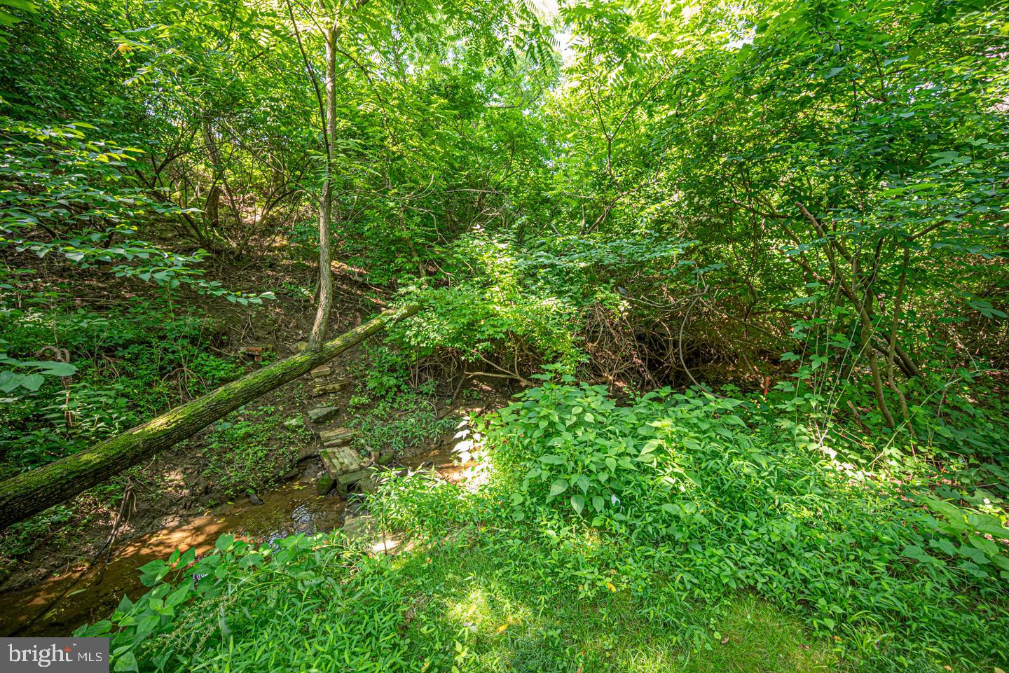 542 Smithbridge Road Glen Mills, PA 19342 - Photo 57 of 63 Path to the High School
