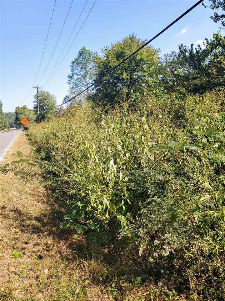 1532 Back Valley Road Dayton, TN 37321 - Photo 3 of 4