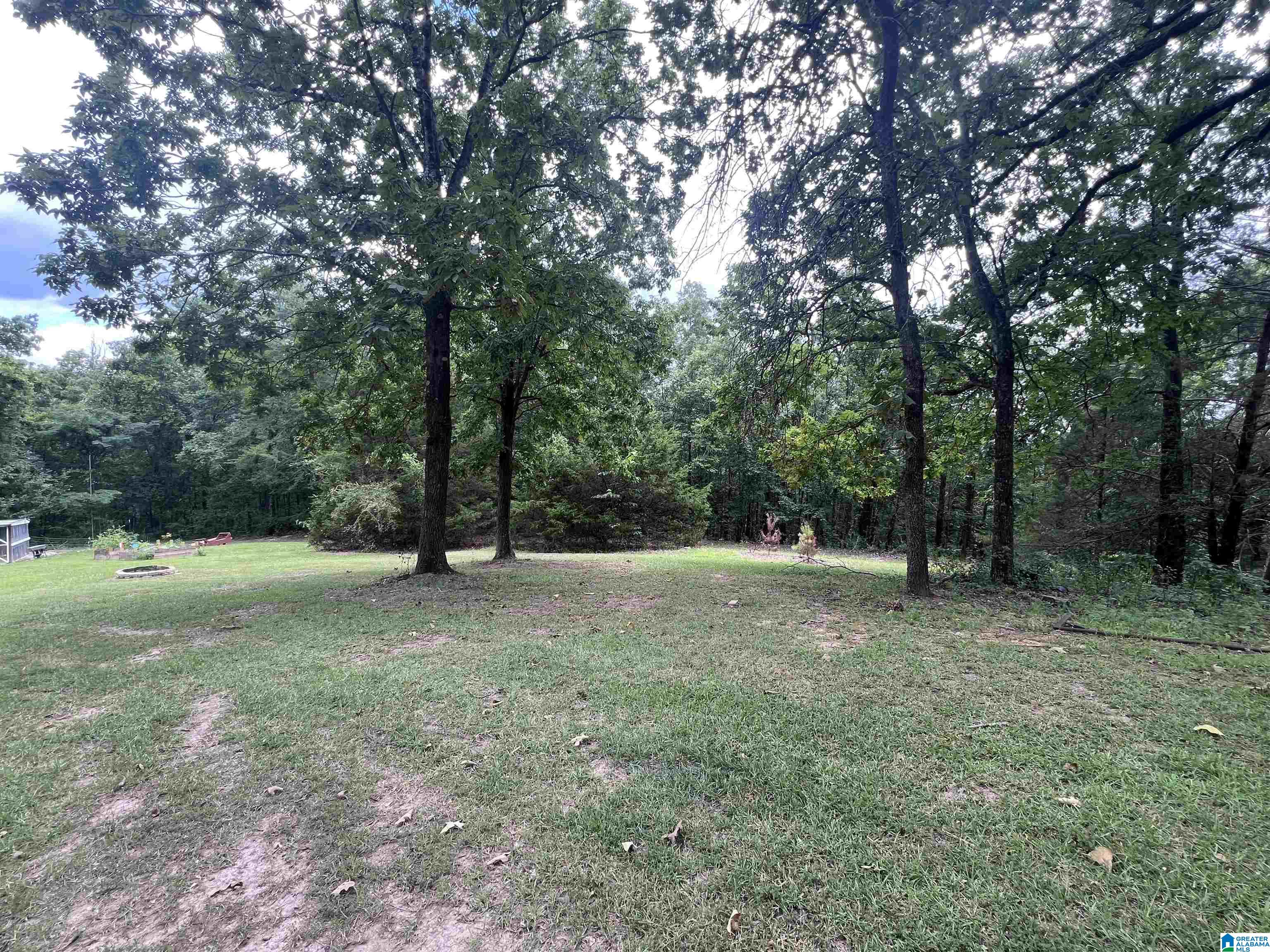 175 Shady Hollow Road Eastaboga, AL 36260 - Photo 50 of 50