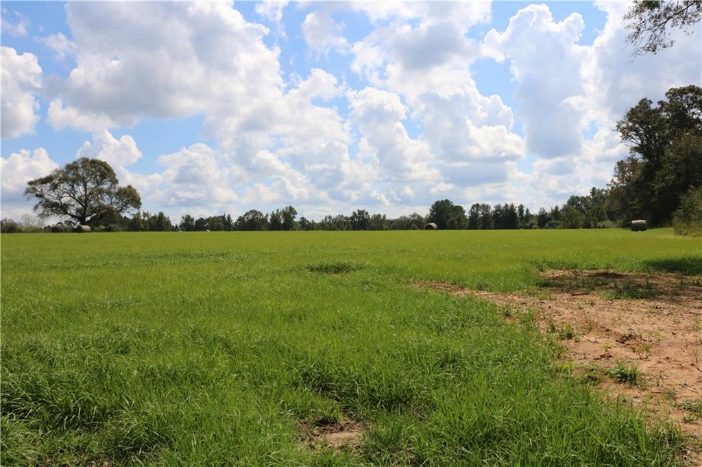 Lot 10 Zack Magee Road Angie, LA 70426 - Photo 1 of 4 Gallery Image 1