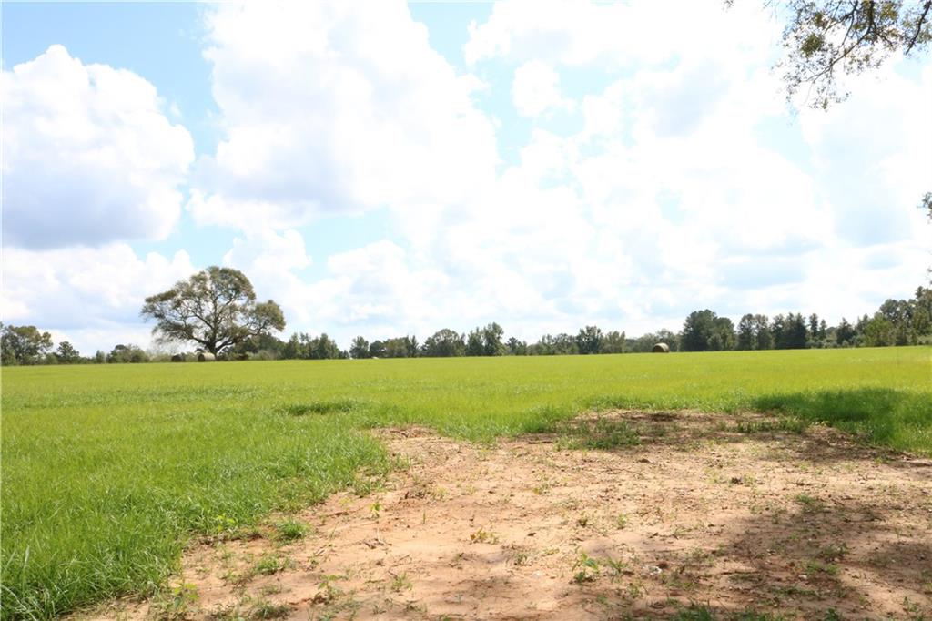 Lot 10 Zack Magee Road Angie, LA 70426 - Photo 2 of 4 Gallery Image 2