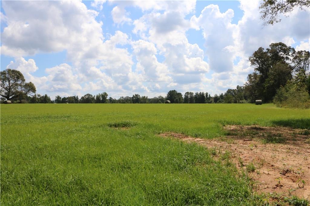 Lot 10 Zack Magee Road Angie, LA 70426 - Photo 3 of 4 Gallery Image 3