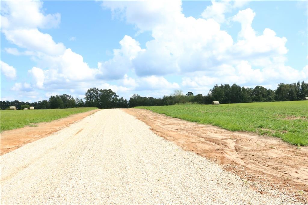 Lot 10 Zack Magee Road Angie, LA 70426 - Photo 4 of 4 Gallery Image 4