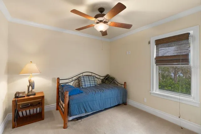 a potted plant sitting in front of a house