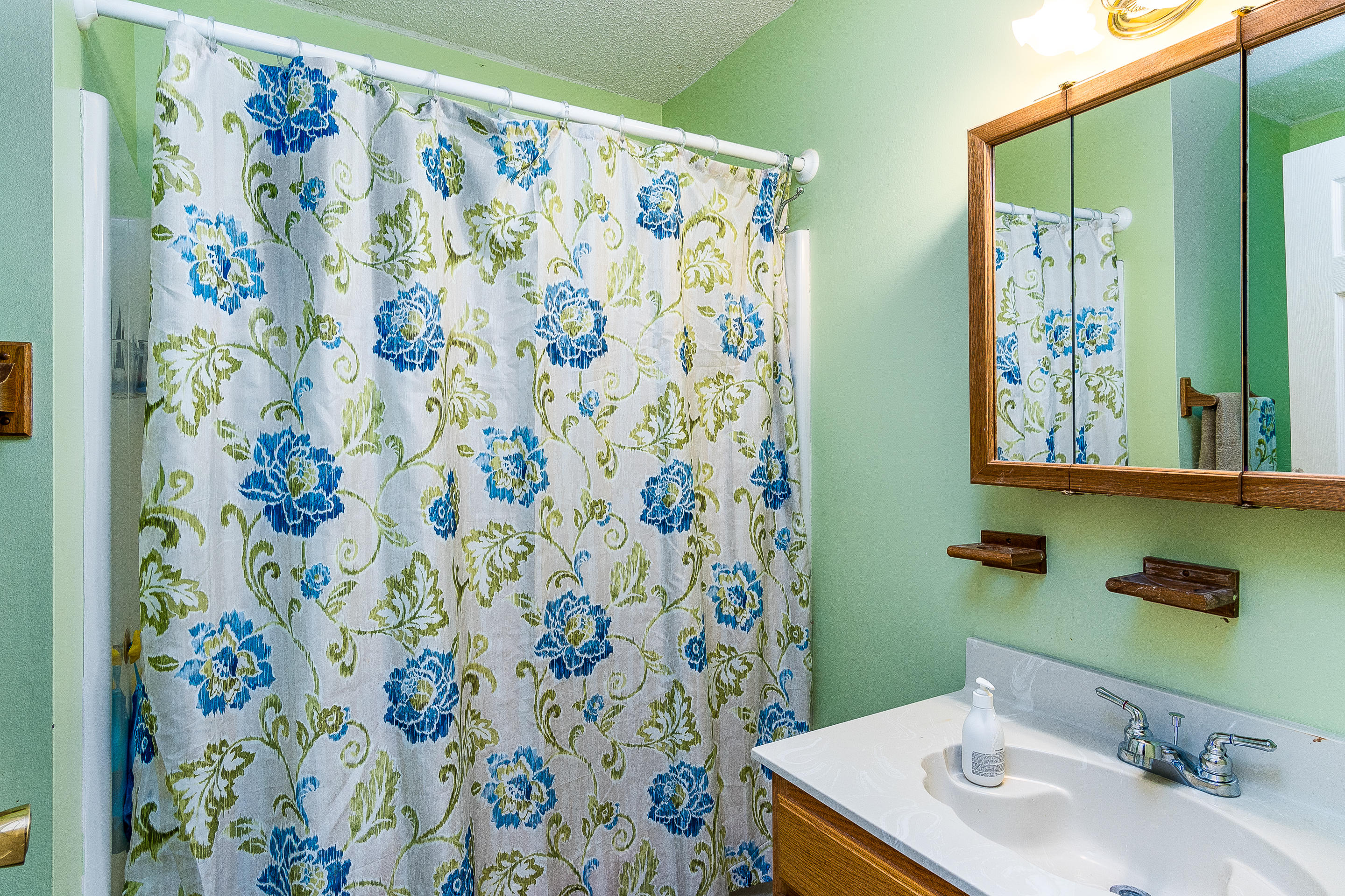 2813 Gap Creek Road Hampton, TN 37658 - Photo 19 of 28 interior_mls-19 (1)