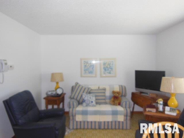 533 Longleaf Lane Flora, IL 62839 - Photo 4 of 16 Gallery Image 4