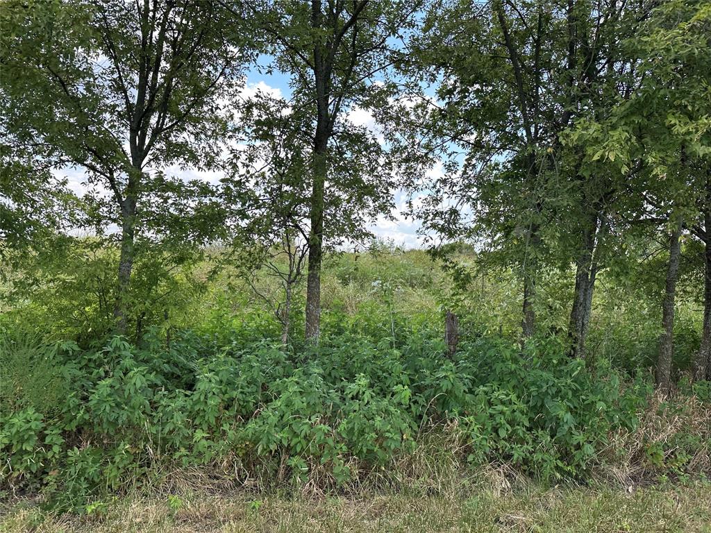 Lot 3 Rutledge Road Whitewright, TX 75491 - Photo 14 of 16