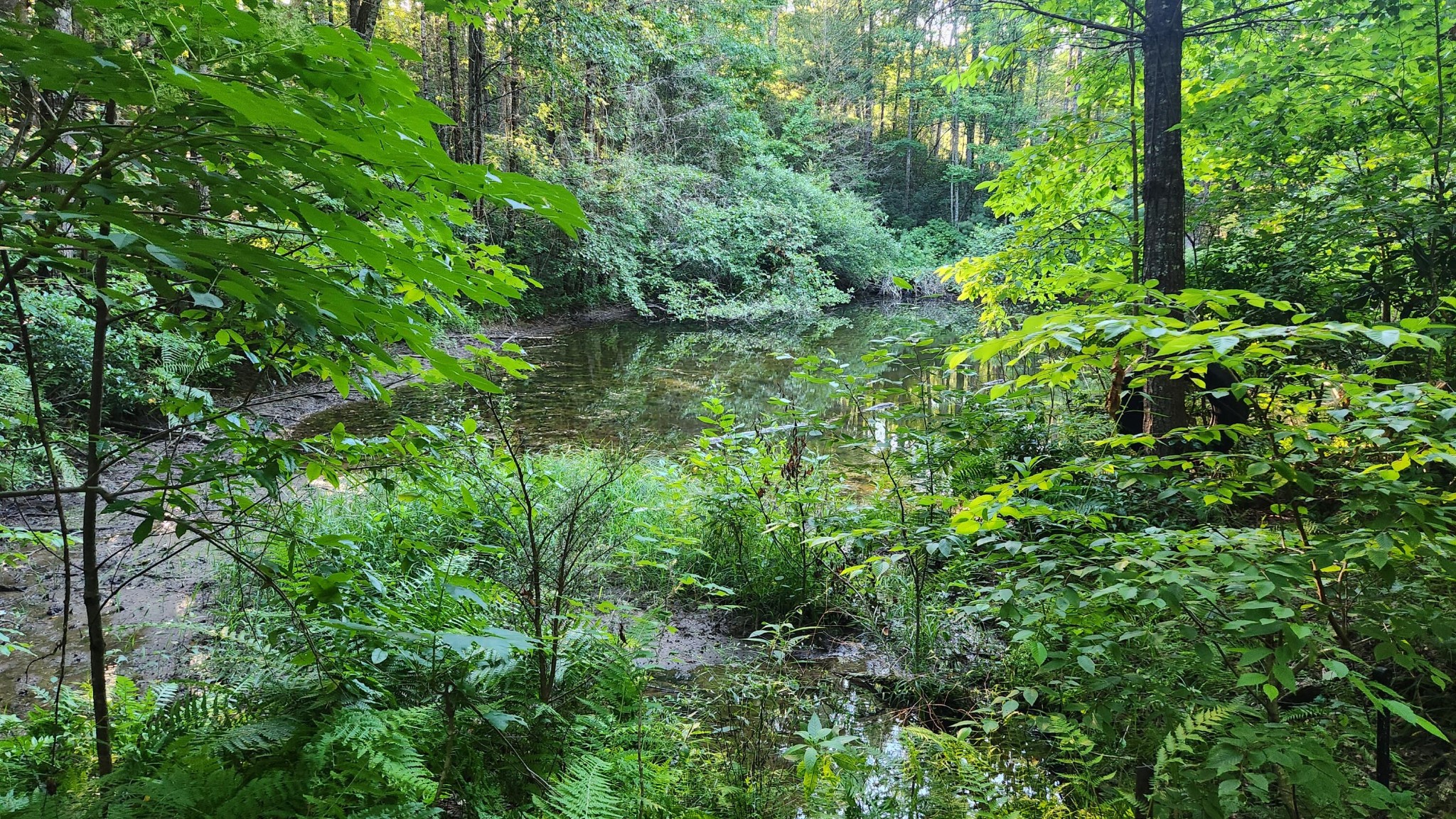 0 Tumbling Creek Road Copperhill, TN 37317 - Photo 17 of 62