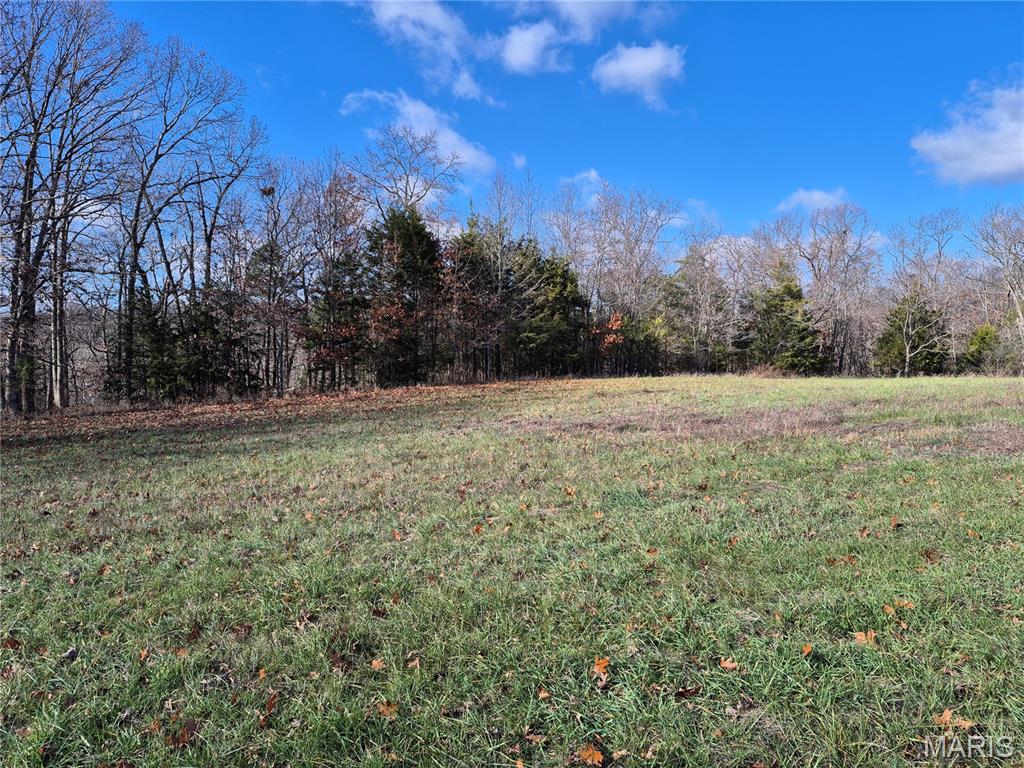 0 Logan School Road New Florence, MO 63363 - Photo 3 of 19