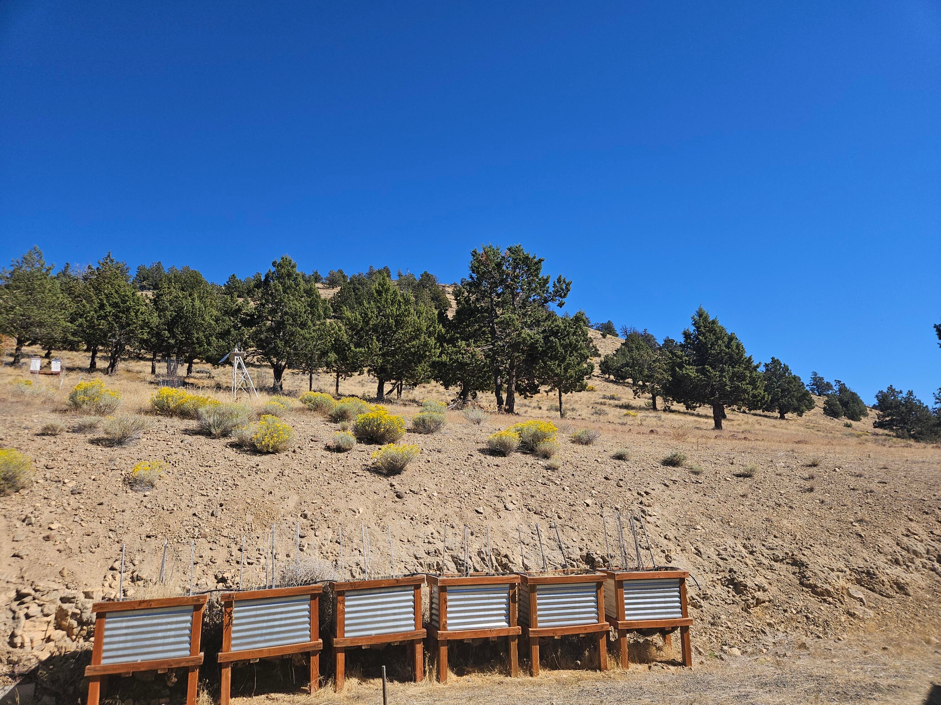 11435 Hill Road Klamath Falls, OR 97603 - Photo 27 of 29 22. Back acreage