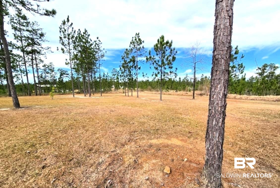 52041 Robert White Road Bay Minette, AL 36507 - Photo 7 of 16 View of yard