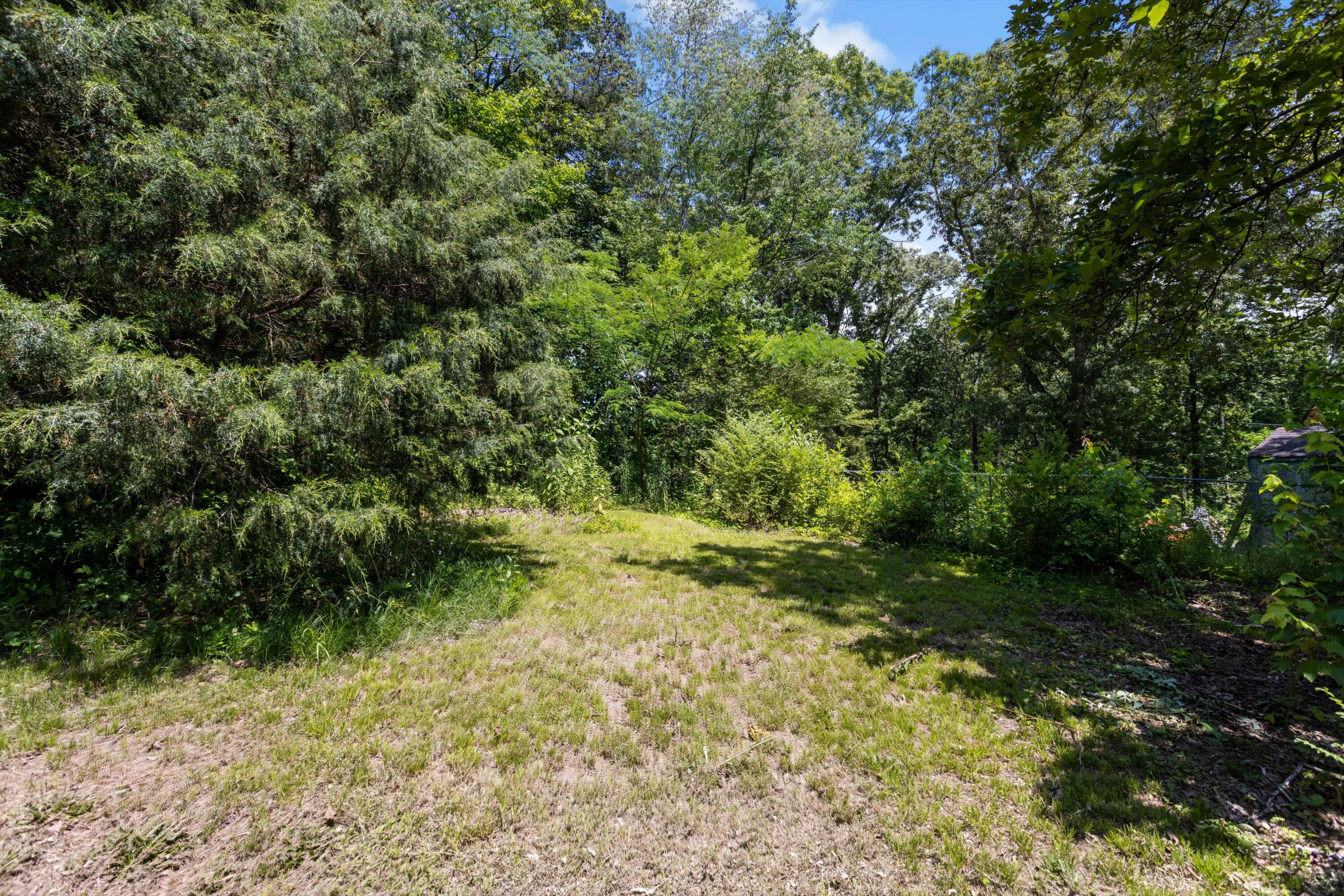 8228 Middle Valley Road Hixson, TN 37343 - Photo 19 of 19 07-2M6A1197