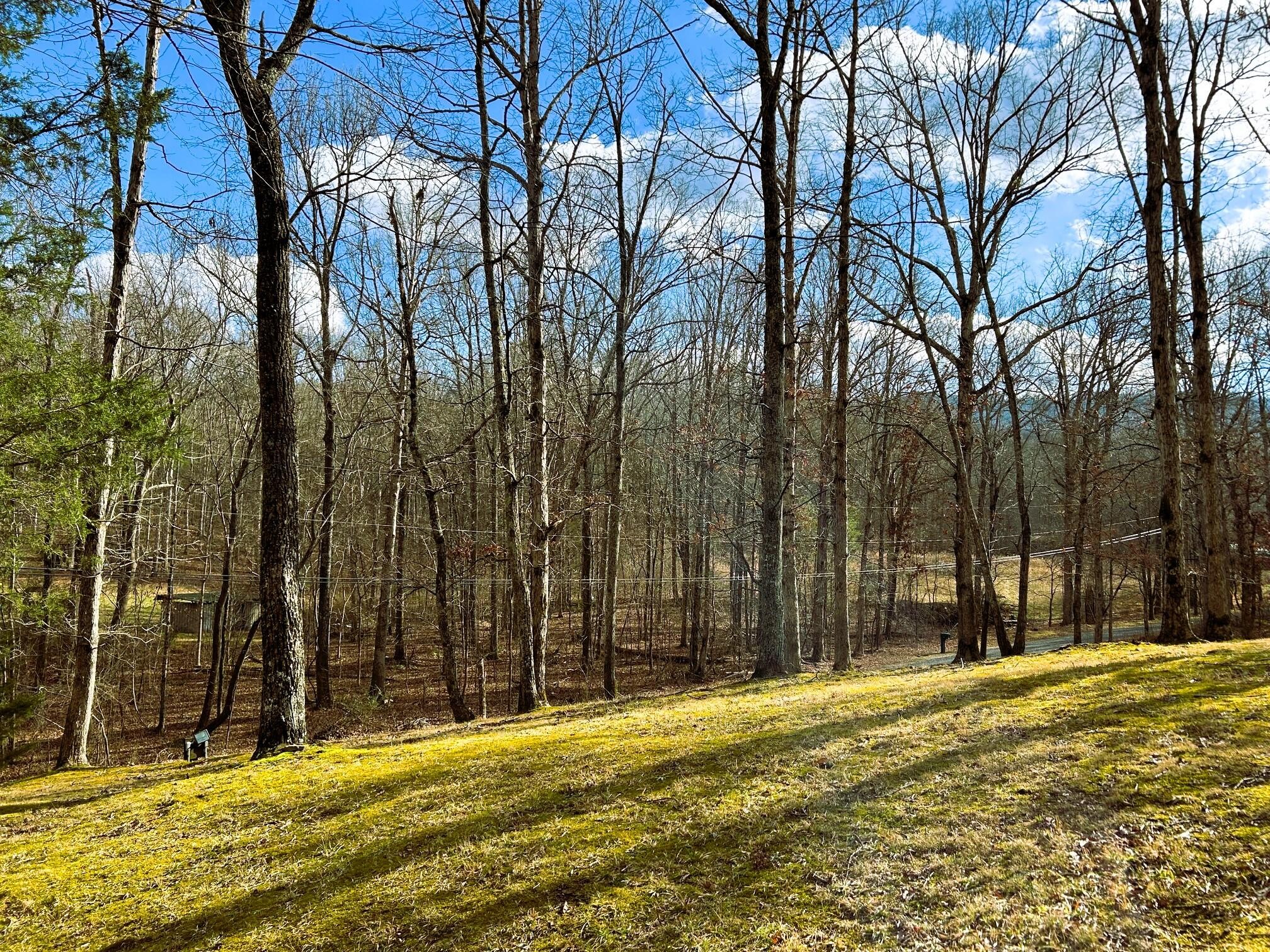 150 Harrison Mill Road Benton, TN 37307 - Photo 81 of 93 Gallery Image 81