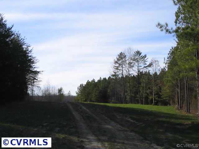 3 Allgood Road Chase City, VA 23924 - Photo 6 of 6 a view of outdoor space