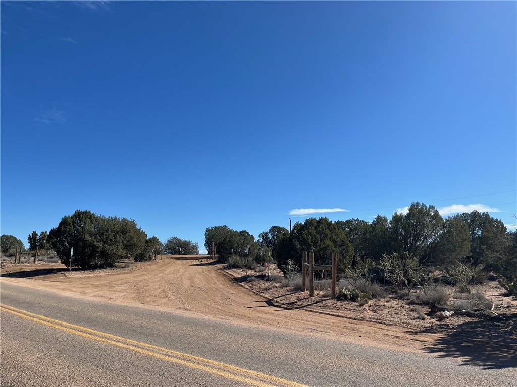 9918 East Blake Ranch Road Kingman, AZ 86401 - Photo 4 of 26 Driveway
