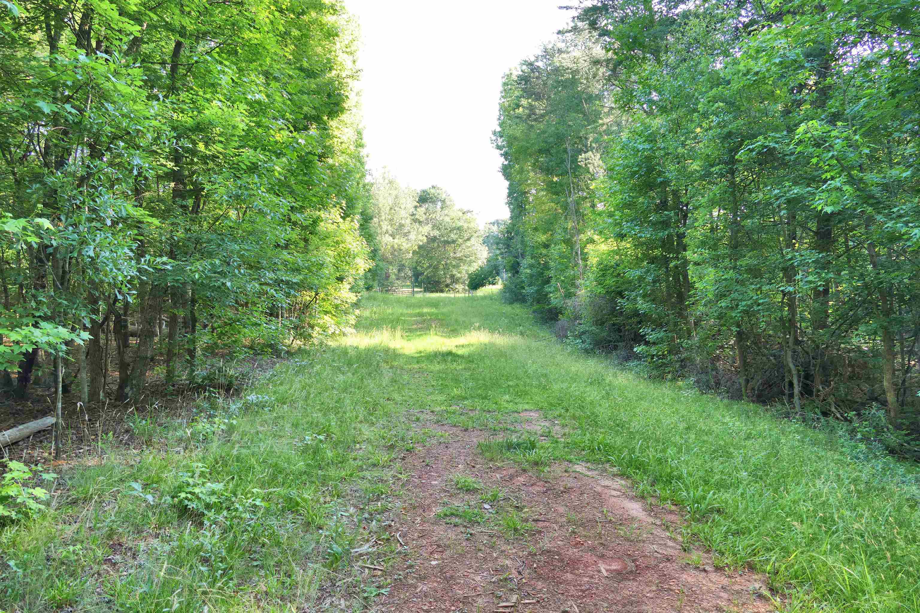 240 Coyl Road Gaffney, SC 29340 - Photo 8 of 13