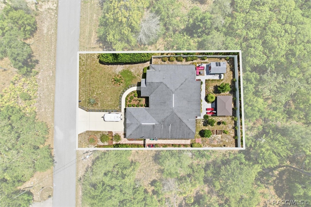 7232 North Ripley Drive Dunnellon, FL 34433 - Photo 4 of 44