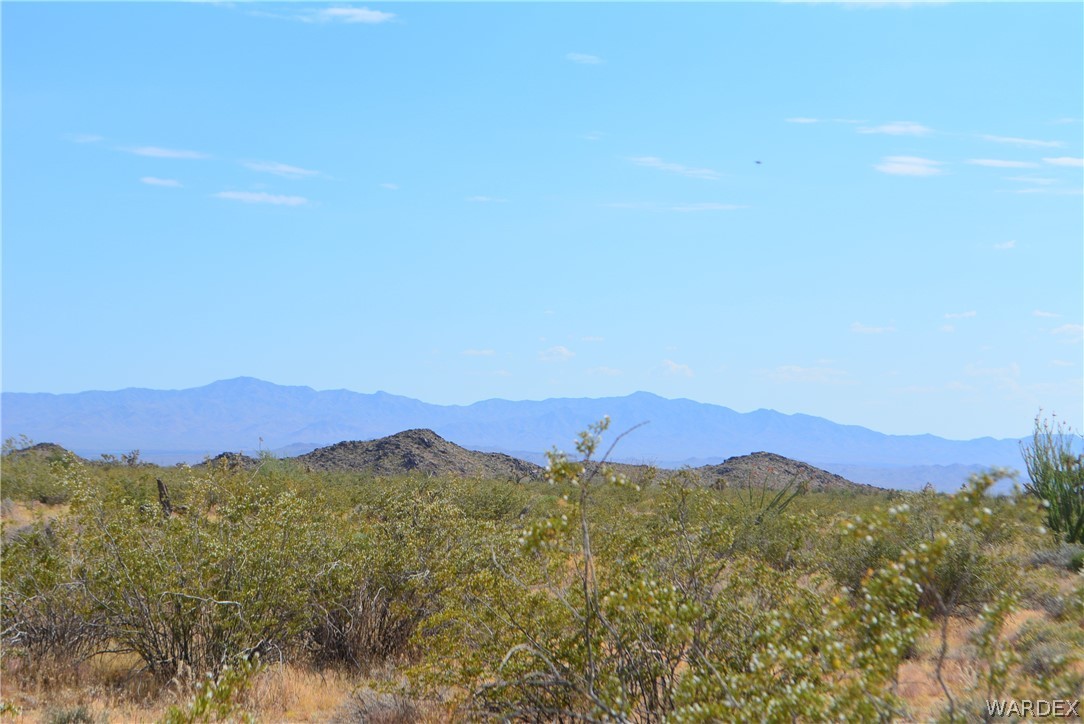 P7 South Central Road Yucca, AZ 86438 - Photo 13 of 50 Gallery Image 13