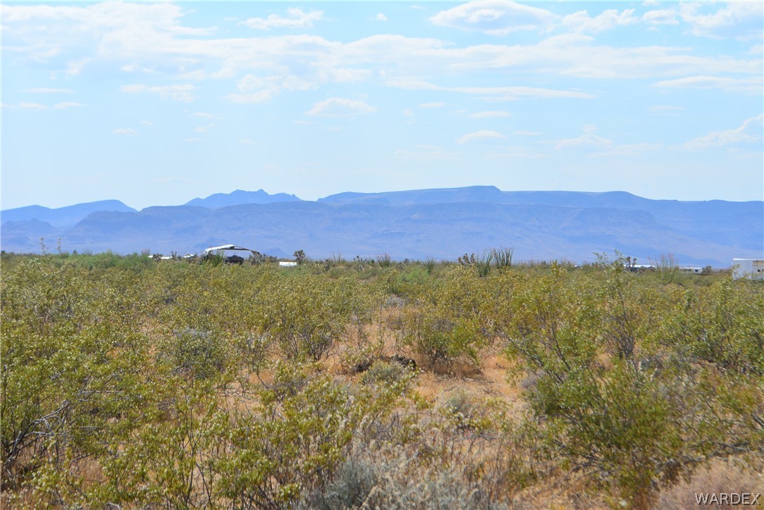 P7 South Central Road Yucca, AZ 86438 - Photo 19 of 50 Gallery Image 19