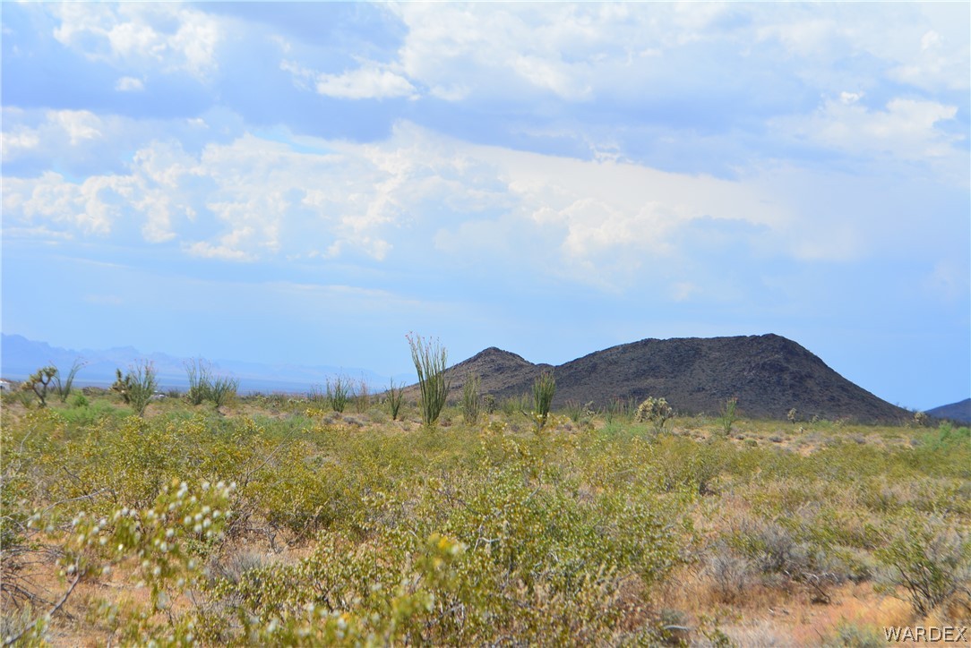 P7 South Central Road Yucca, AZ 86438 - Photo 23 of 50 Gallery Image 23