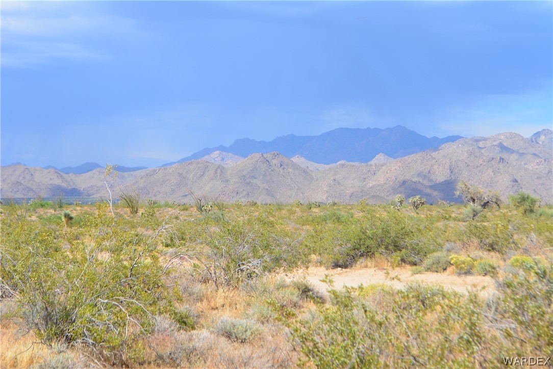 P7 South Central Road Yucca, AZ 86438 - Photo 3 of 50 Gallery Image 3