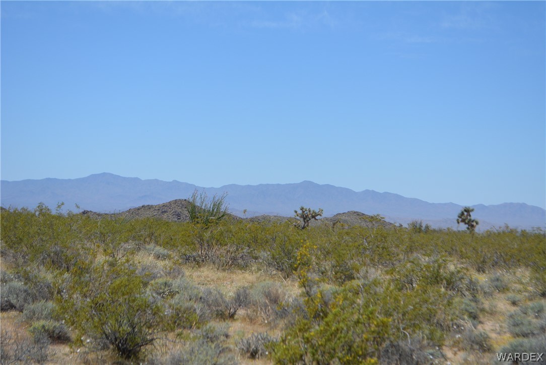 P7 South Central Road Yucca, AZ 86438 - Photo 32 of 50 Gallery Image 32