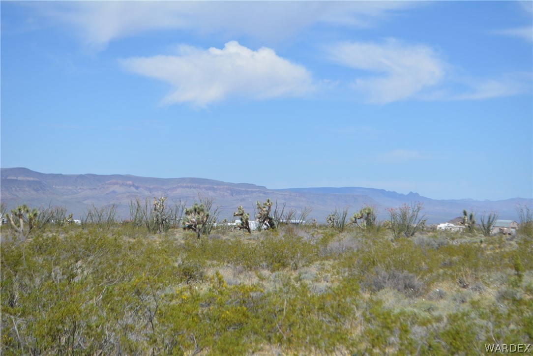 P7 South Central Road Yucca, AZ 86438 - Photo 40 of 50 Gallery Image 40