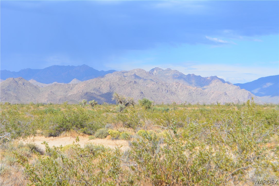 P7 South Central Road Yucca, AZ 86438 - Photo 4 of 50 Gallery Image 4