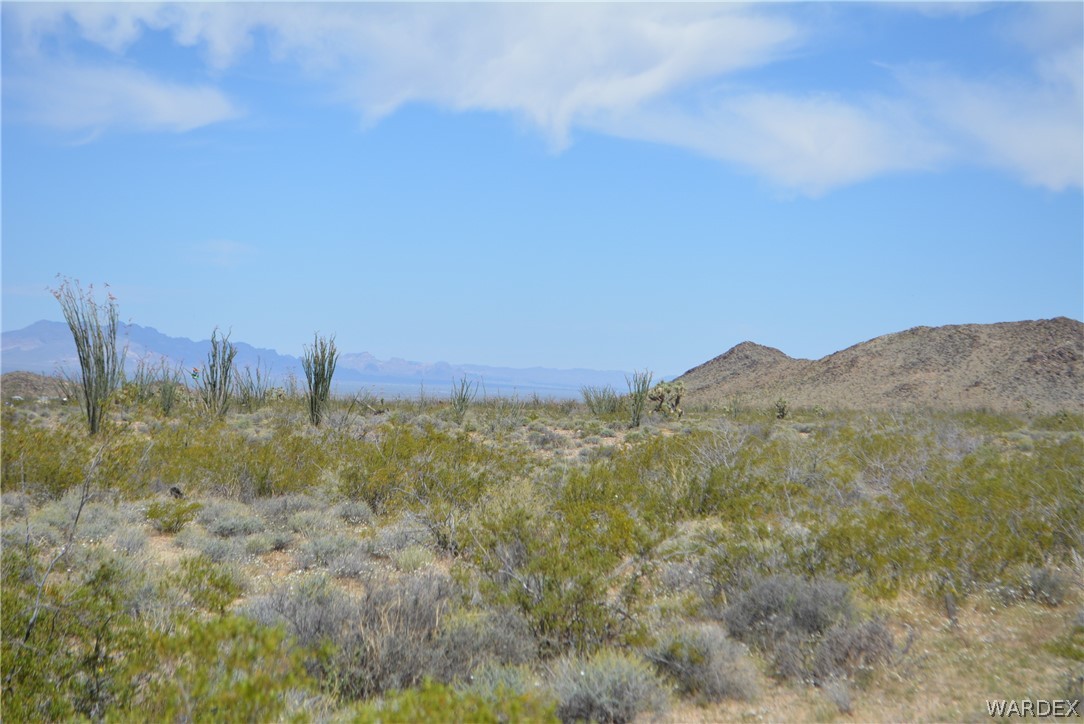 P7 South Central Road Yucca, AZ 86438 - Photo 42 of 50 Gallery Image 42