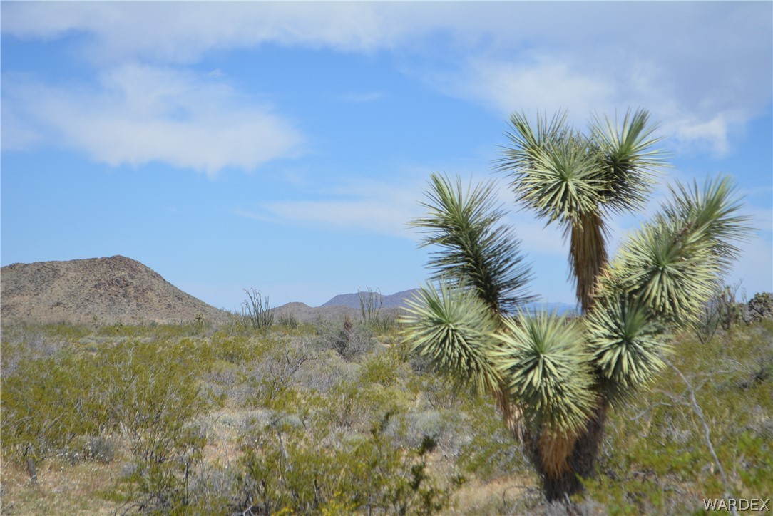 P7 South Central Road Yucca, AZ 86438 - Photo 43 of 50 Gallery Image 43