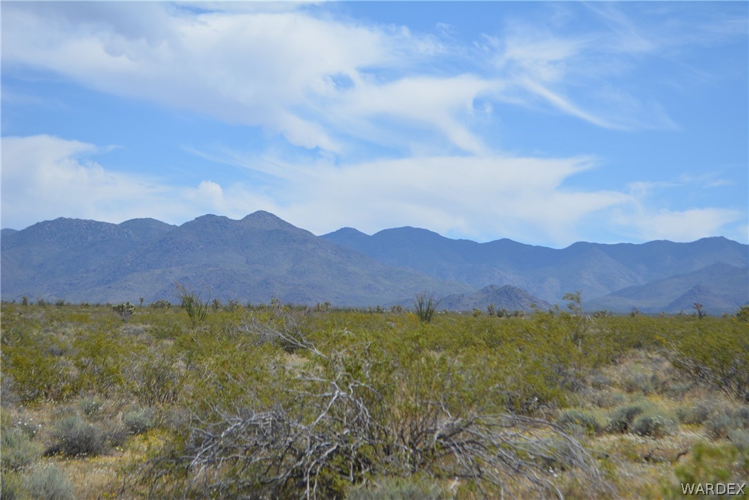 P7 South Central Road Yucca, AZ 86438 - Photo 48 of 50 Gallery Image 48