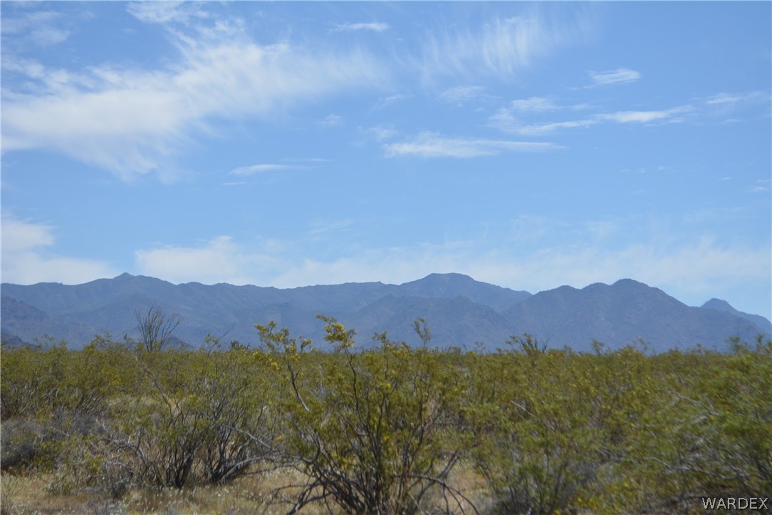 P7 South Central Road Yucca, AZ 86438 - Photo 49 of 50 Gallery Image 49