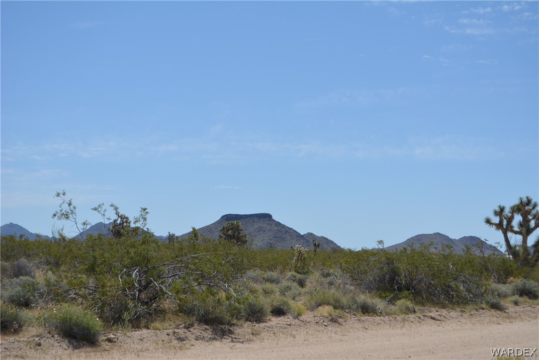 P7 South Central Road Yucca, AZ 86438 - Photo 50 of 50 Gallery Image 50