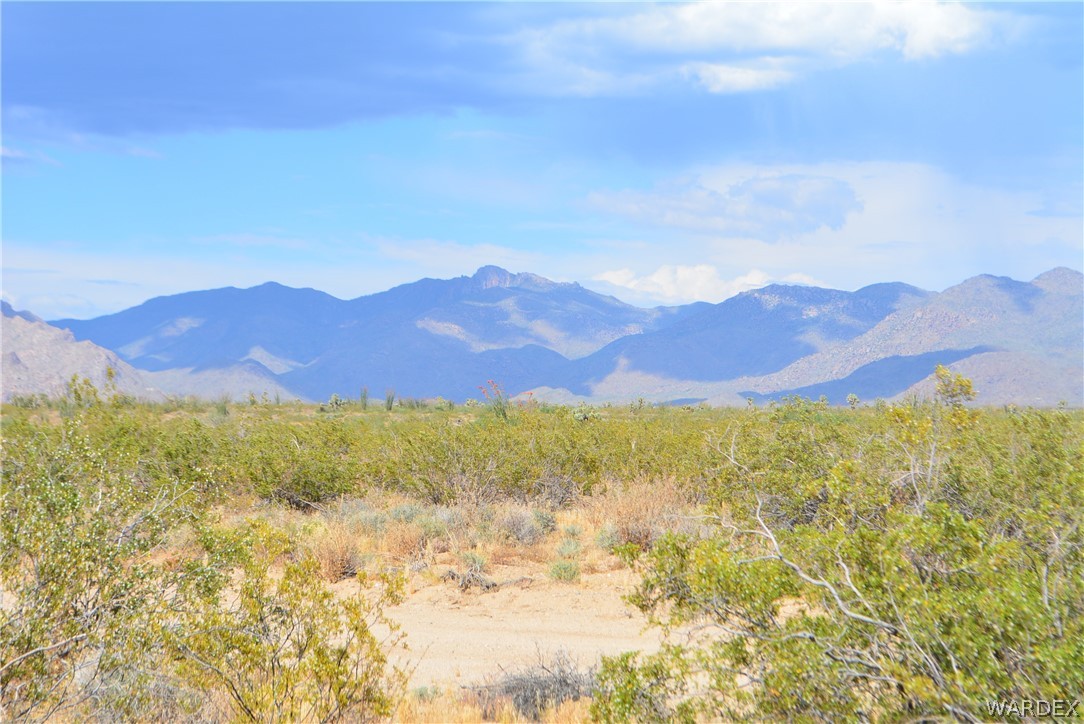 P7 South Central Road Yucca, AZ 86438 - Photo 6 of 50 Gallery Image 6