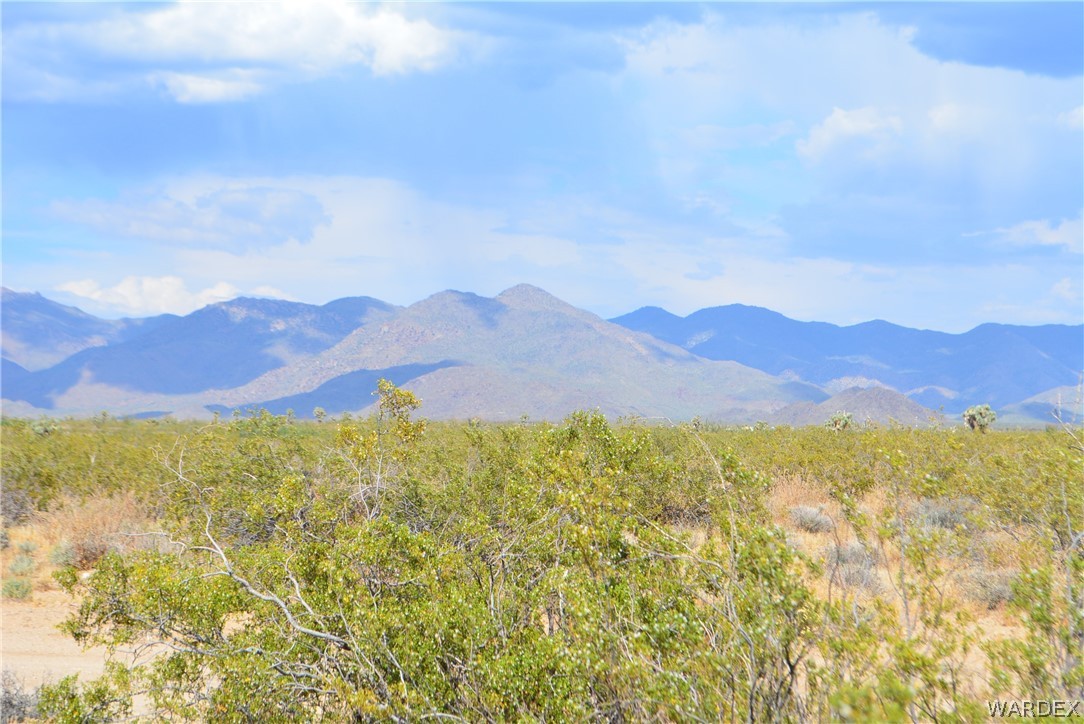 P7 South Central Road Yucca, AZ 86438 - Photo 7 of 50 Gallery Image 7