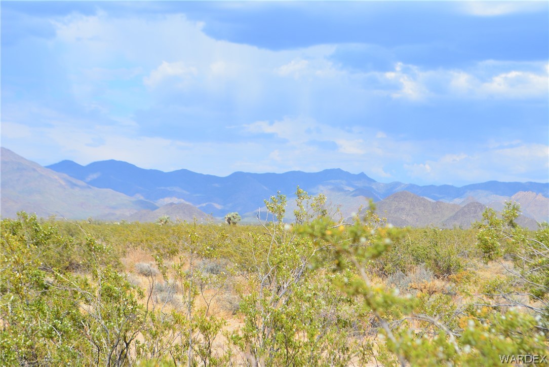 P7 South Central Road Yucca, AZ 86438 - Photo 8 of 50 Gallery Image 8