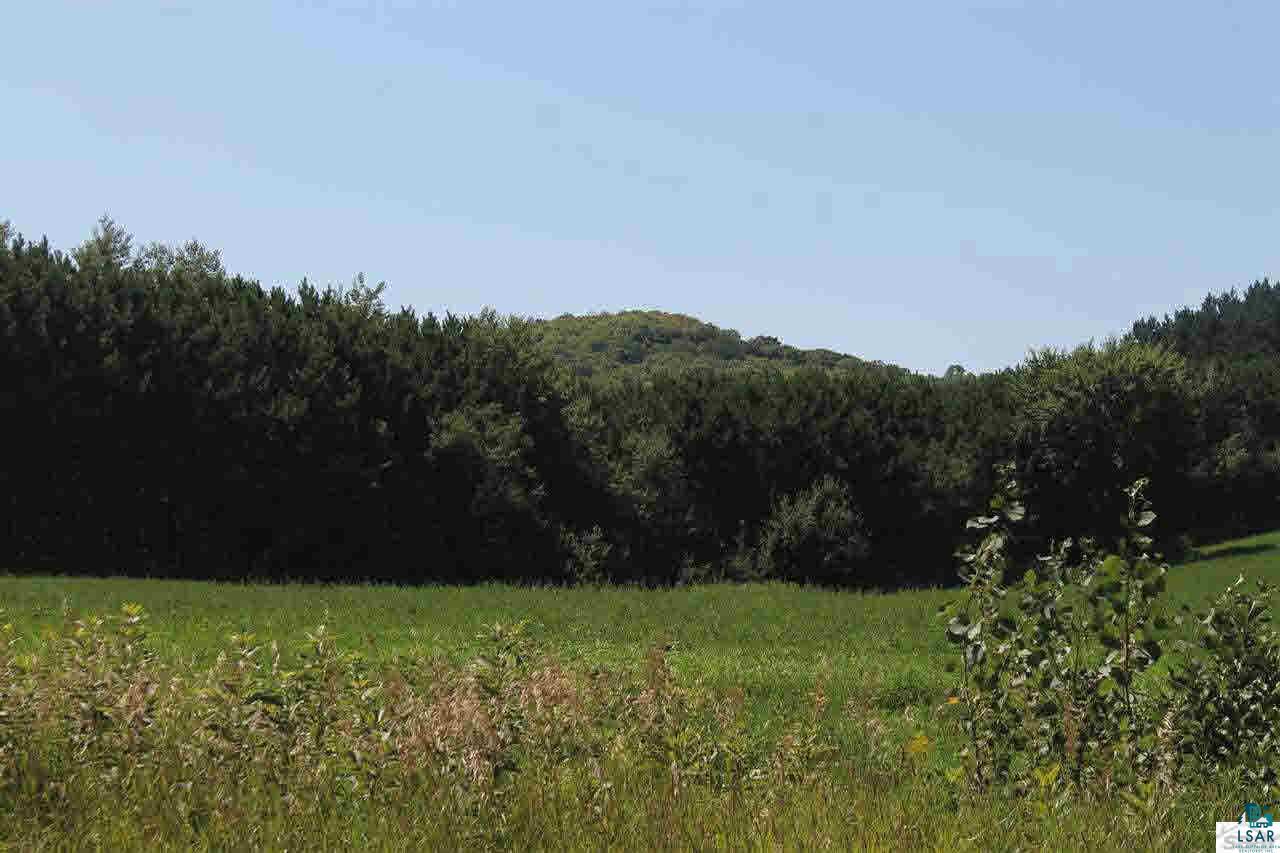 0 Bass Lake Road Marengo, WI 54855 - Photo 3 of 6 Gallery Image 3