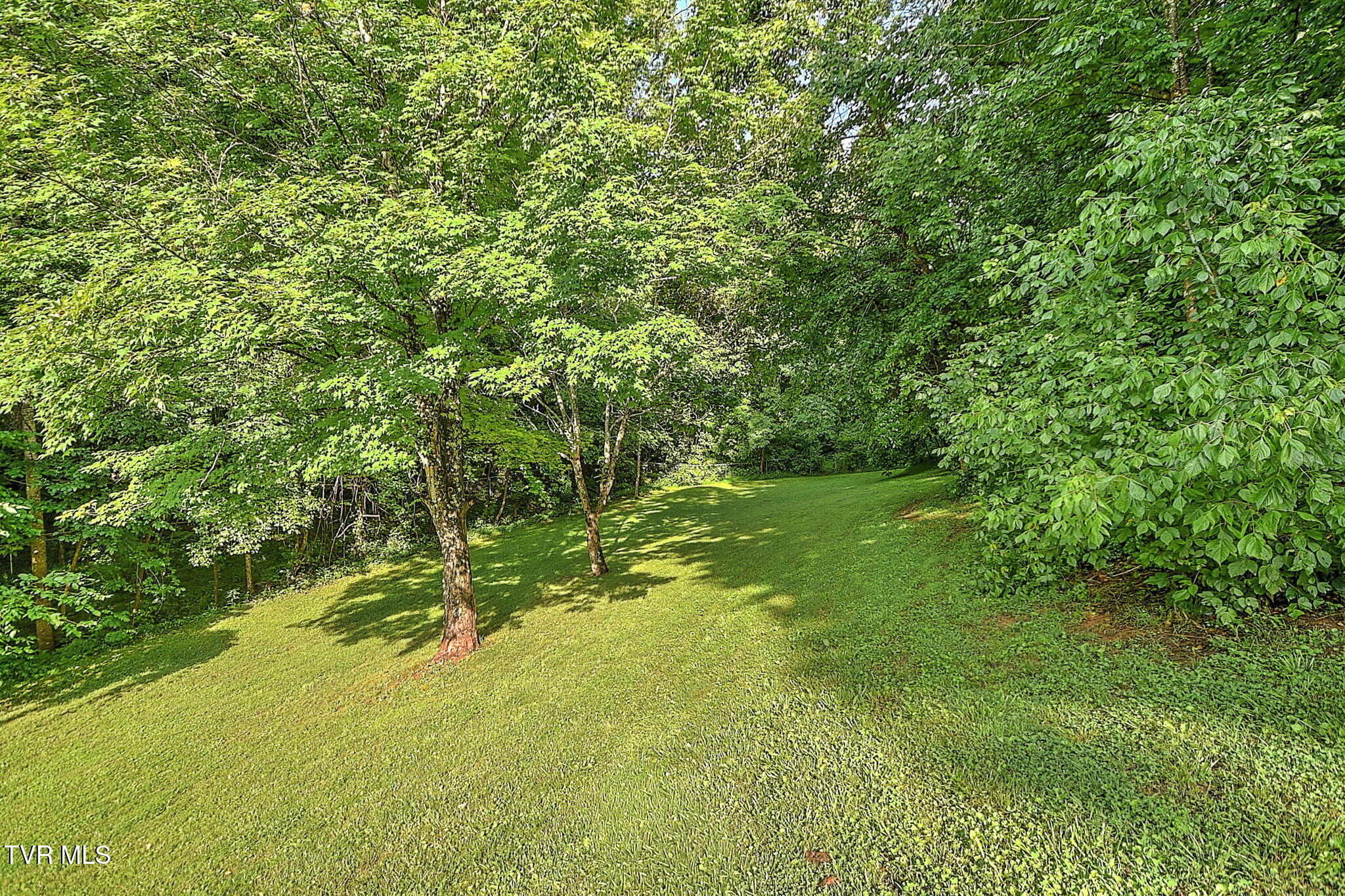 655 Wadlow Gap Road Kingsport, TN 37660 - Photo 42 of 66 27-web-or-mls-649 Wadalow Gap DP-28
