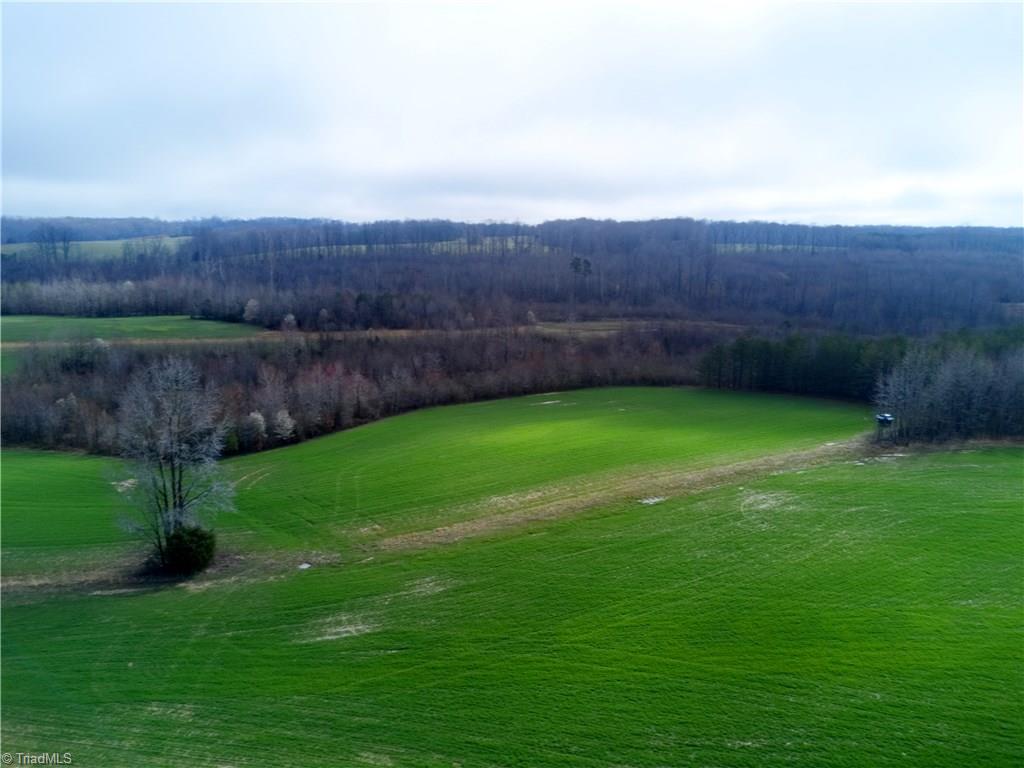 0 Gilliam Road Reidsville, NC 27320 - Photo 4 of 18 Gallery Image 4