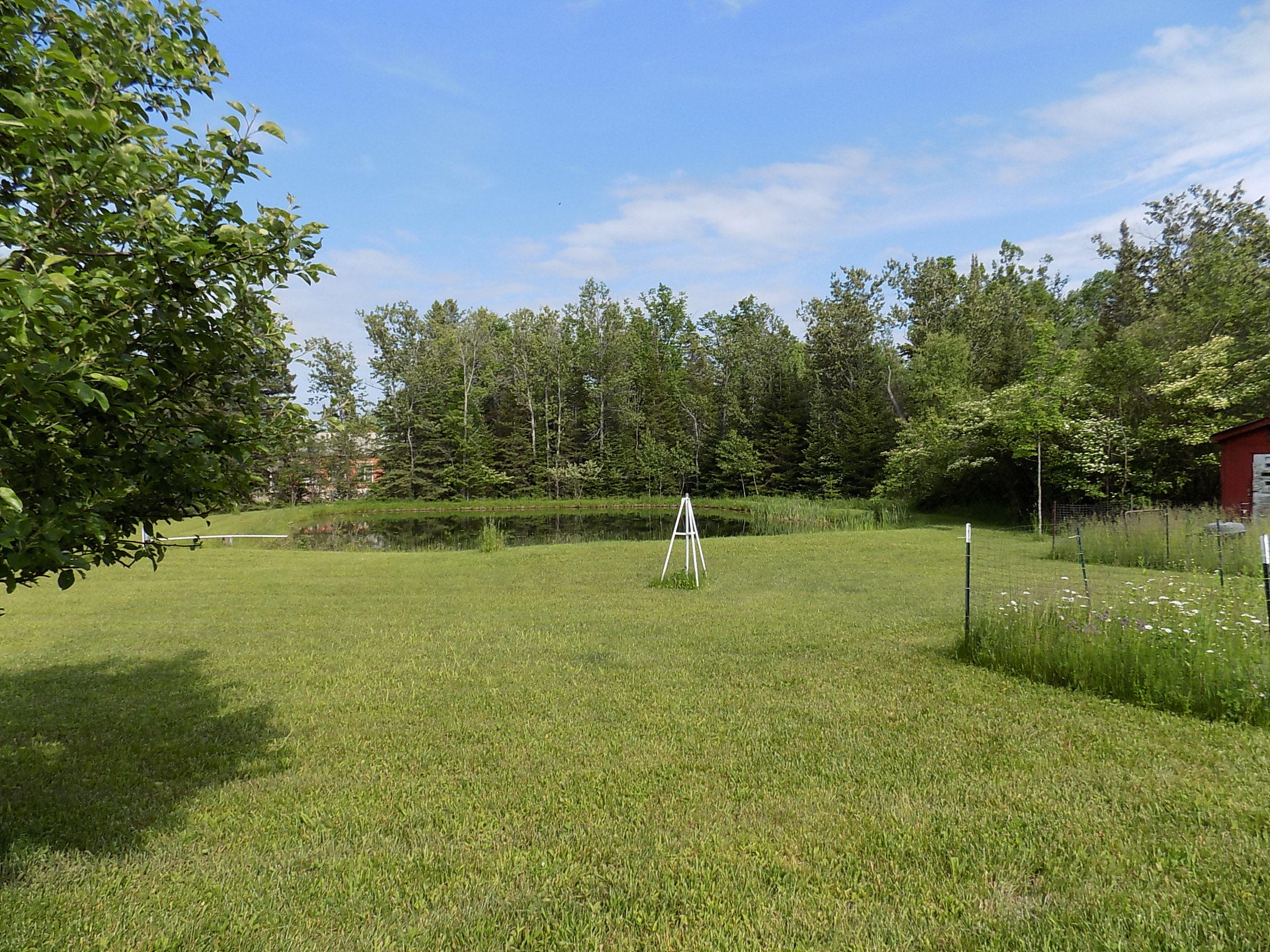 21735 Cohoon Road Hillman, MI 49746 - Photo 3 of 25 Gallery Image 3