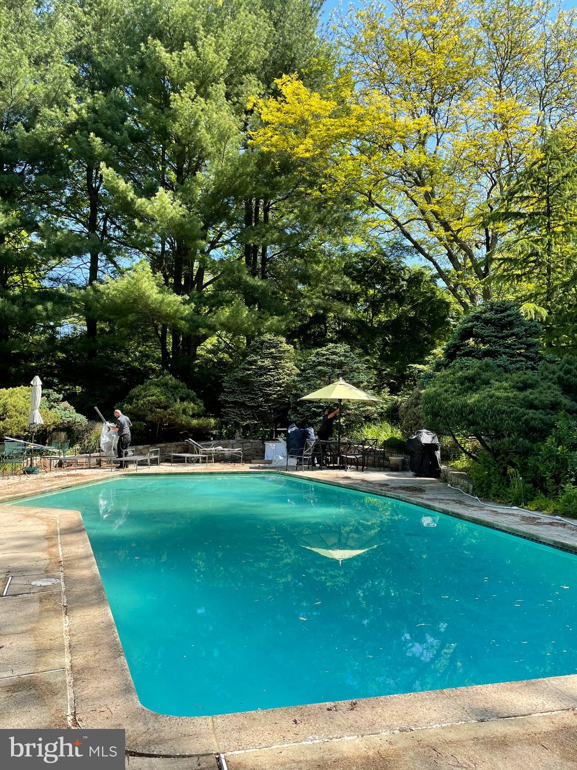 42 Stone Ridge Road Thornton, PA 19373 - Photo 3 of 59 Rear Yard/Pool Area