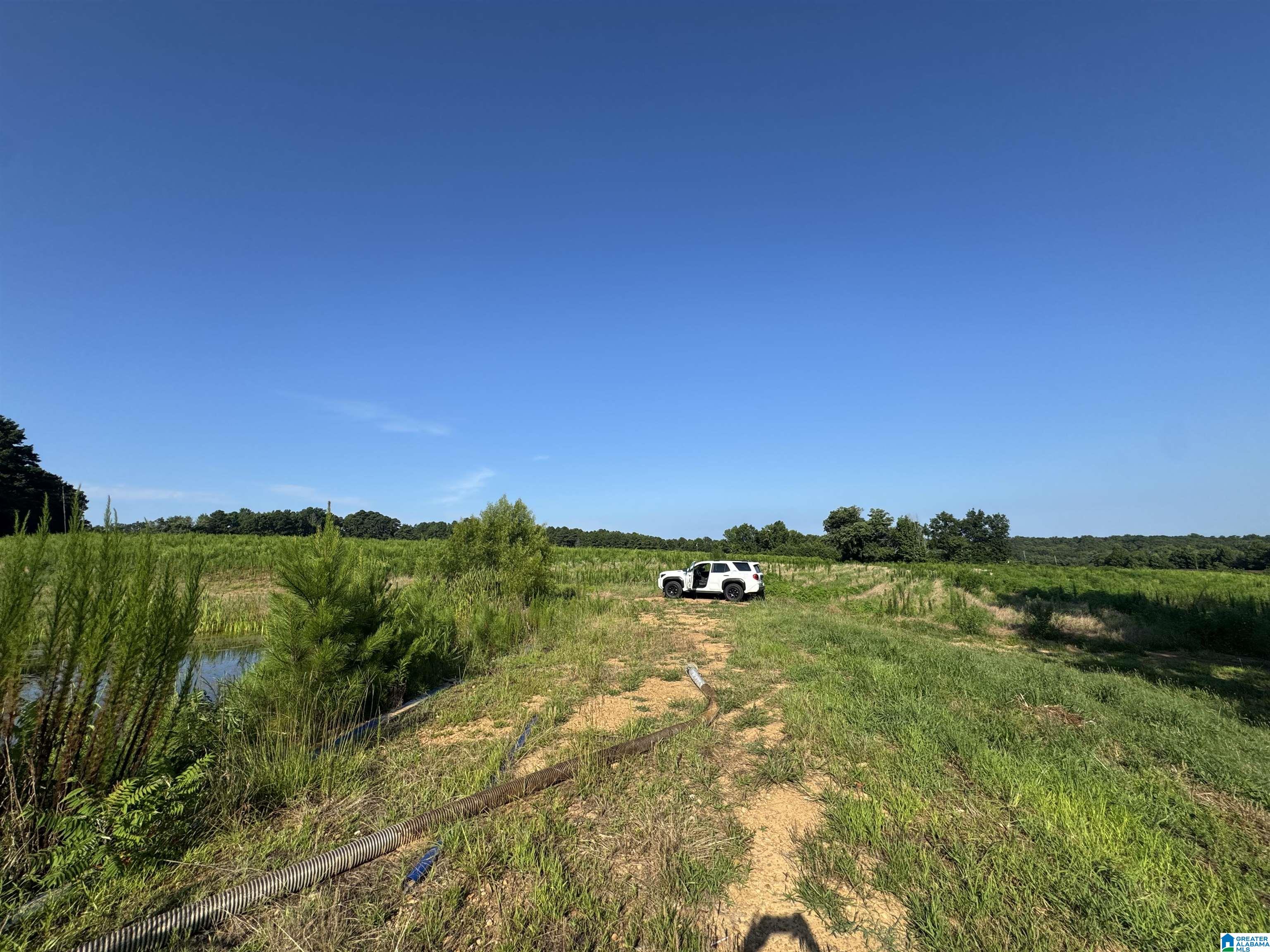 0 County Highway 27, Unit 47 Springville, AL 35146 - Photo 23 of 53