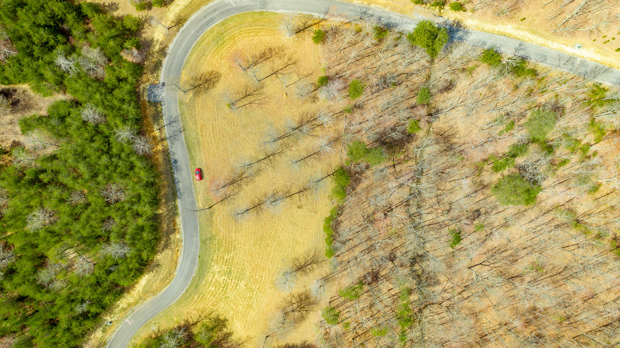2 Two Lake Trail, Unit 27 Dunlap, TN 37327 - Photo 7 of 39 Two Lake Trail Lot 27 Aerials-10
