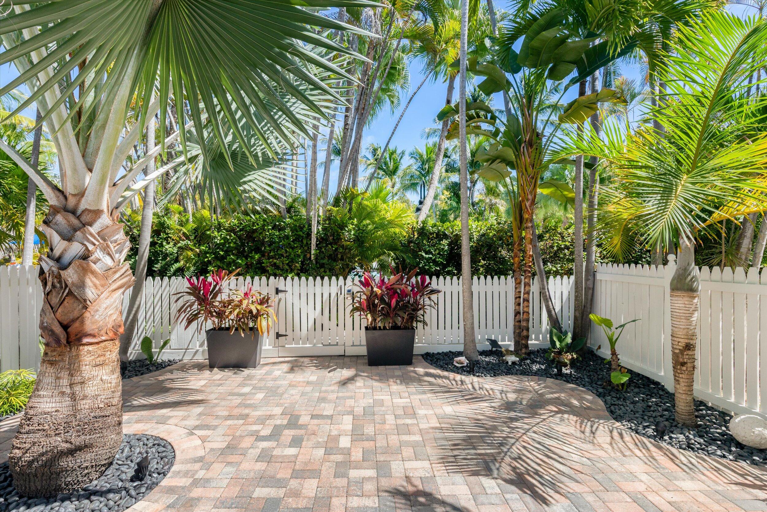 37 Spoonbill Way Key West, FL 33040 - Photo 24 of 88 a view of a backyard with potted plants and large trees
