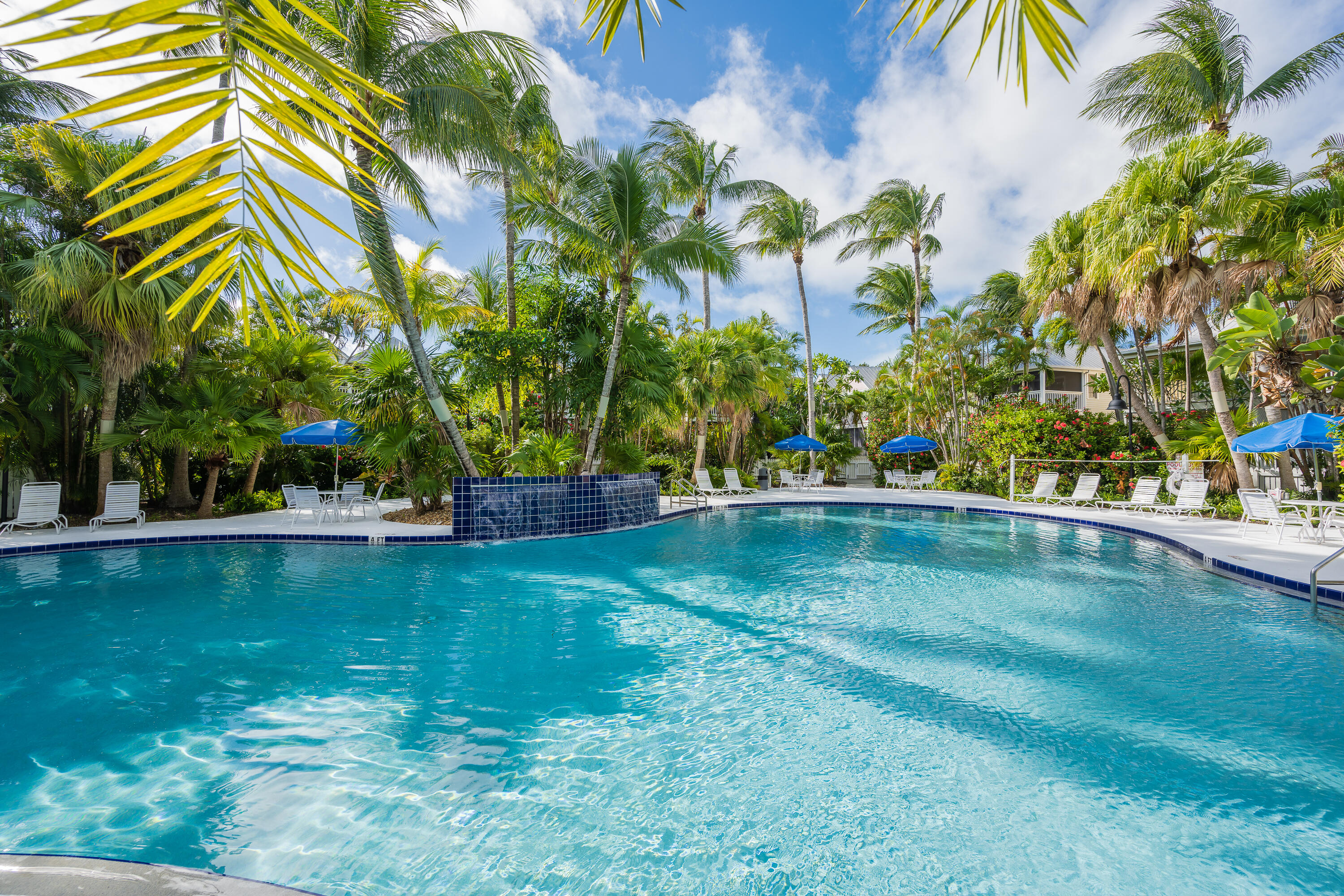 37 Spoonbill Way Key West, FL 33040 - Photo 83 of 88 a view of swimming pool with a yard