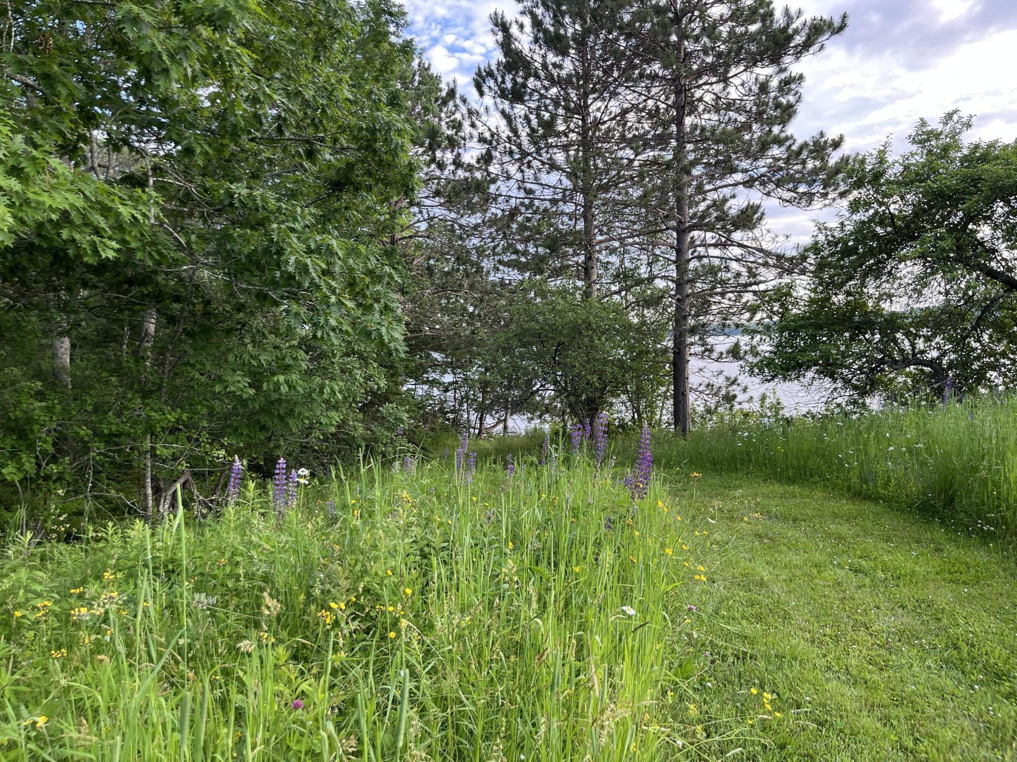 57 Southern Bay Road Penobscot, ME 04476 - Photo 65 of 77 IMG_4565